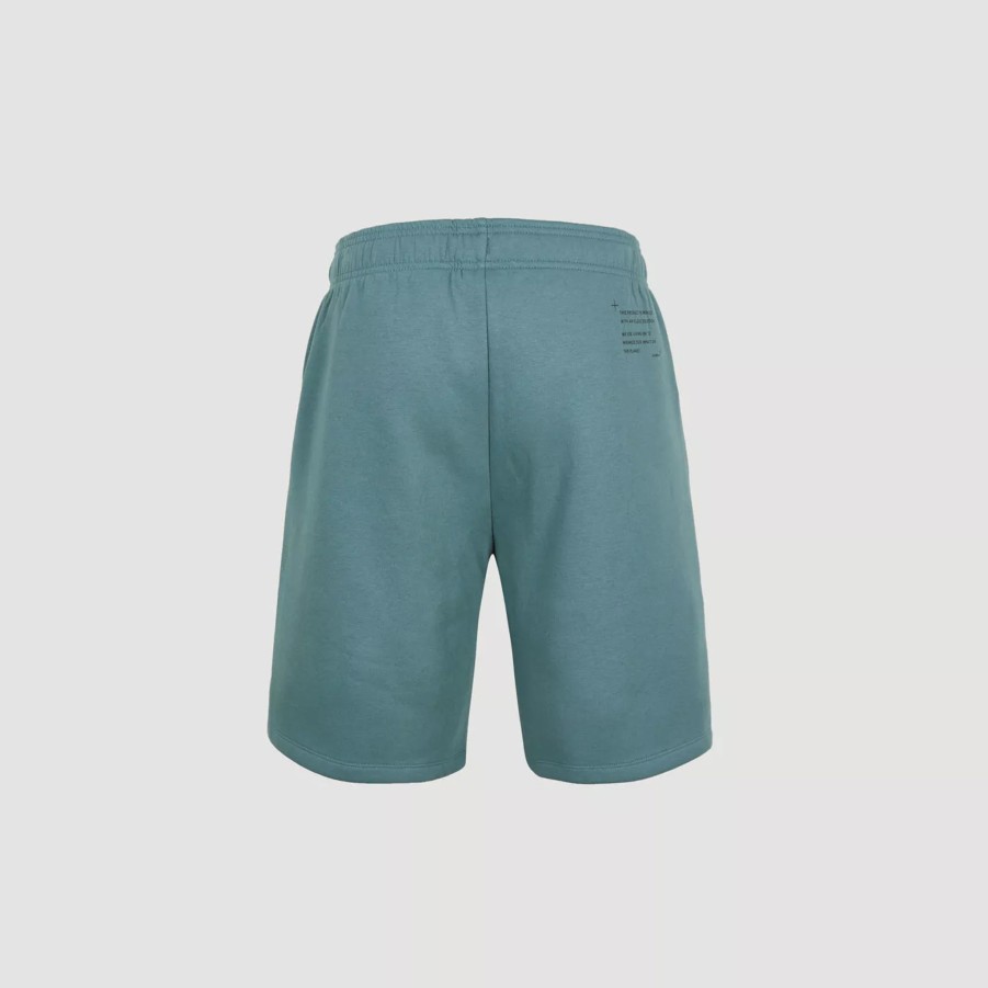 Krotkie Spodenki Meskie O'NEILL | Meskie Spodenki O'Neill Future Surf Short 2700019-15047 Turkusowy