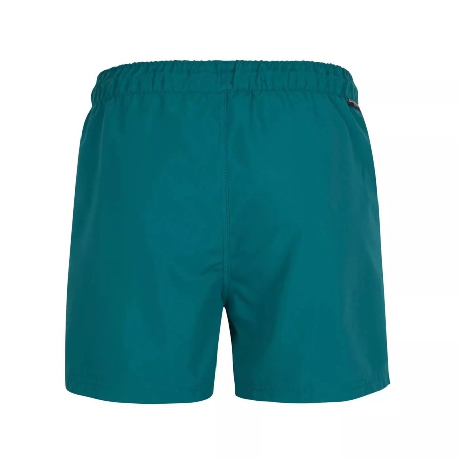 Szorty I Bokserki Kapielowe Meskie O'NEILL | Meskie Szorty O'Neill Cali Panel Shorts 2800043-15010 Niebieski